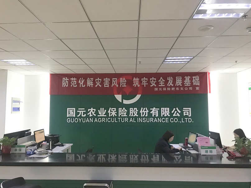 国元保险肥东支公司职场宣传 - 副本.jpg