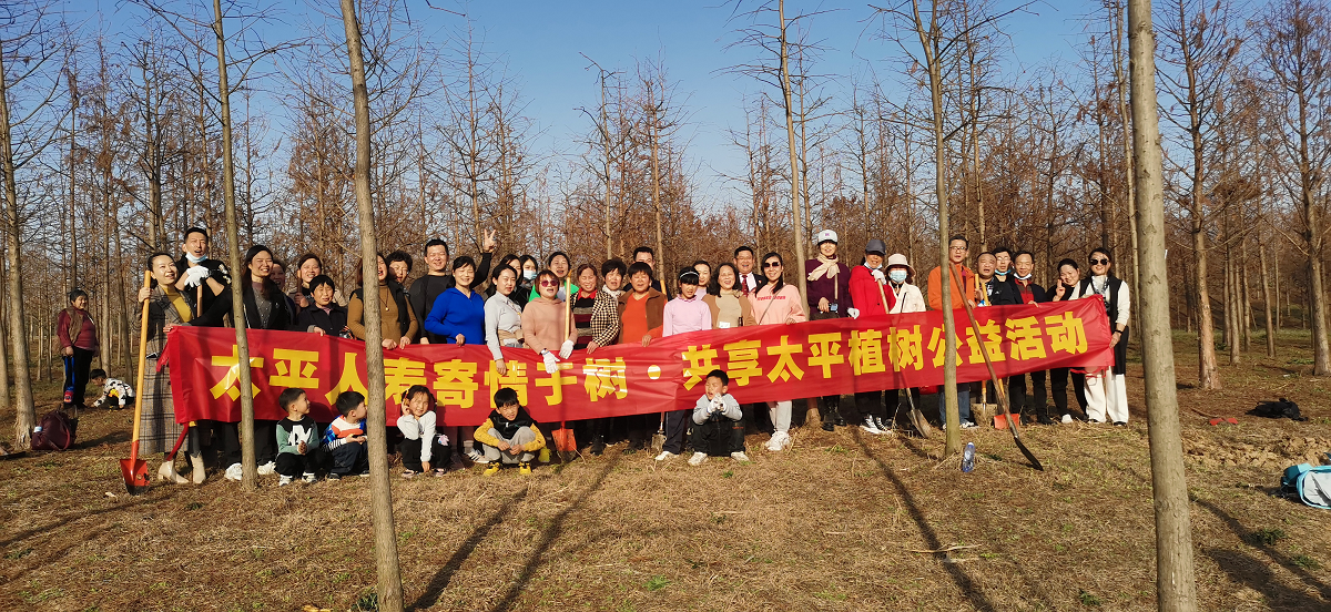寄情于树 共享太平 ——太平人寿合肥中心支公司开展植树公益活动