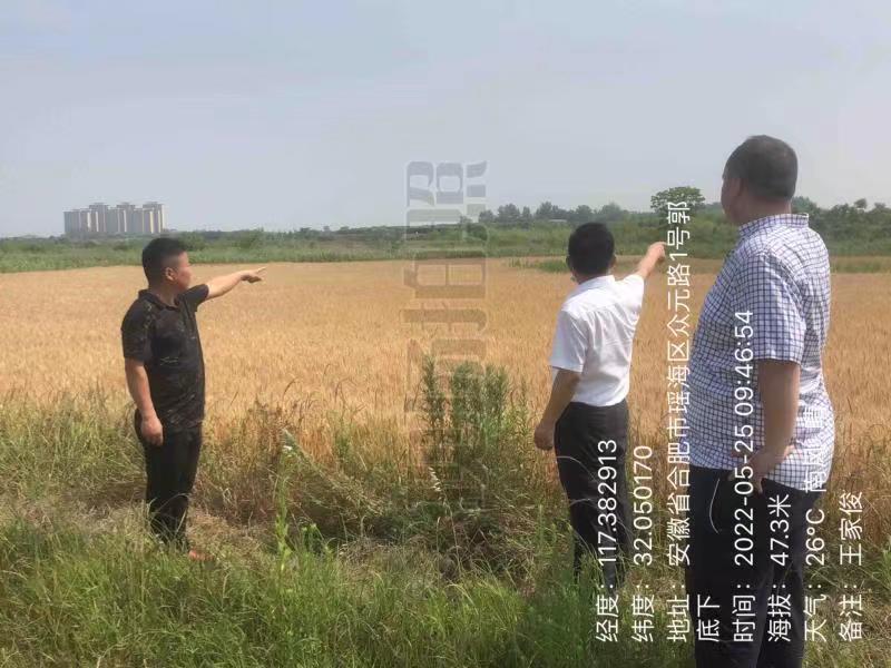 国元保险瑶海支公司完成午季理赔工作