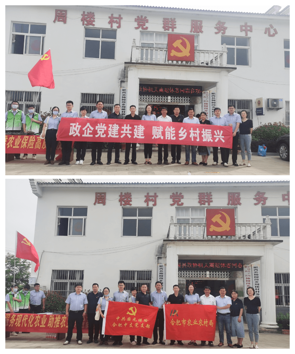 政企党建共建 赋能乡村振兴 合肥市农业农村局机关党支部与国元保险合肥中支党支部联合开展支部共建农险宣传活动
