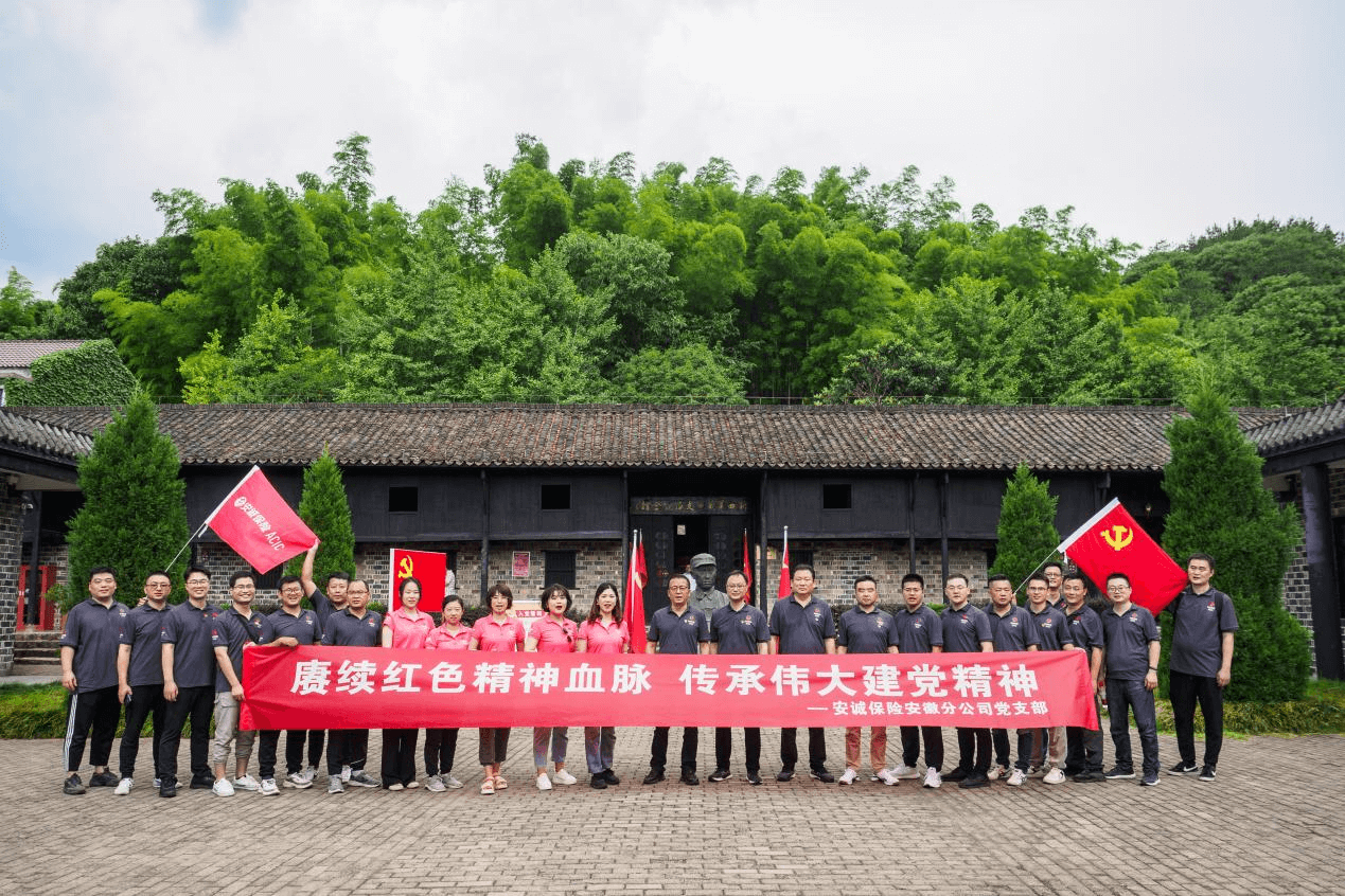 安诚保险安徽分公司党支部开展庆“七一”主题党日活动