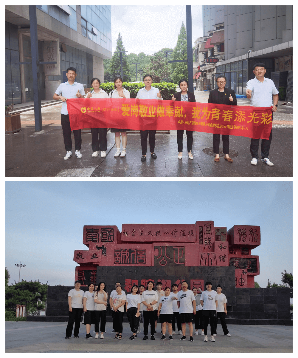 中国人寿财险合肥中支开展“7.8全国保险公众宣传日”公益活动