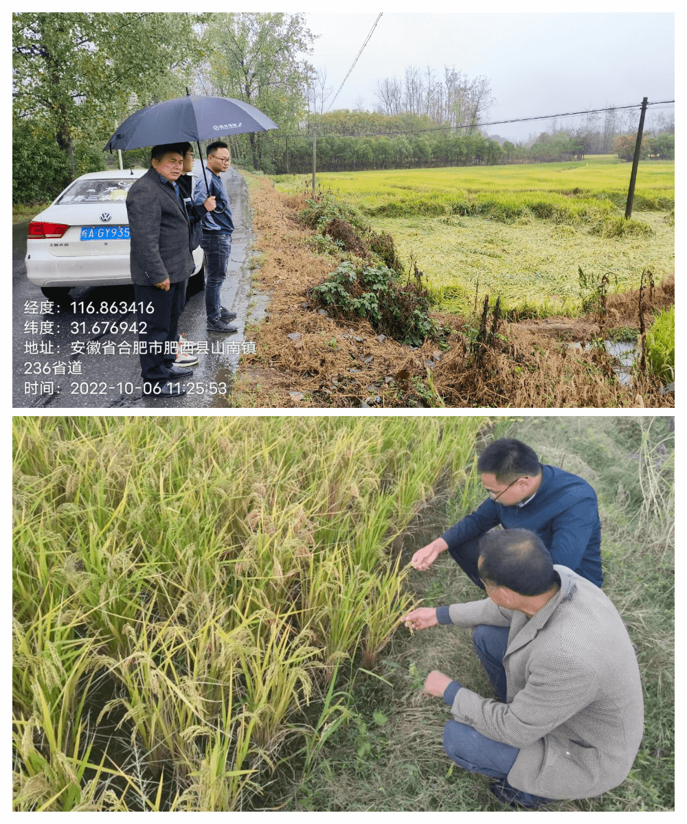 国元保险：合肥一线农保人的国庆假期