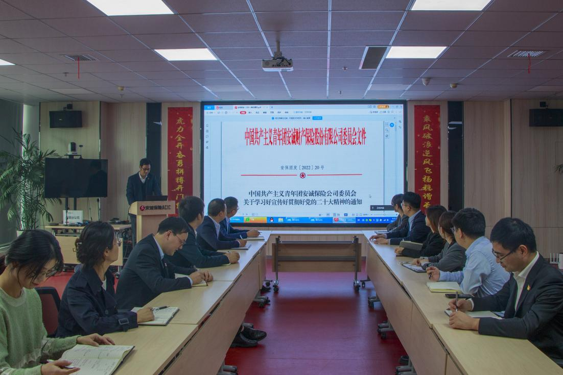 安诚保险安徽分公司团总支召开会议 专题学习贯彻党的二十大精神