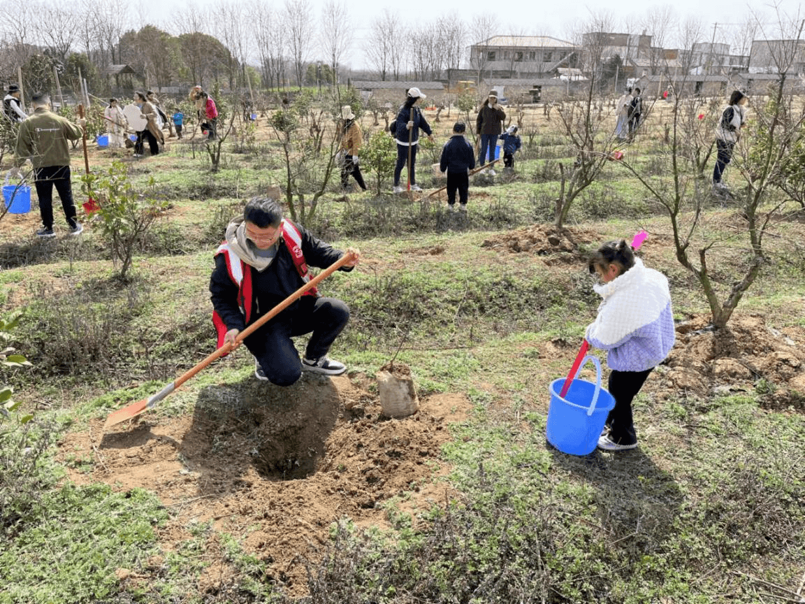 太平人寿合肥中心支公司举办“悦享生活 亲近自然”植树活动