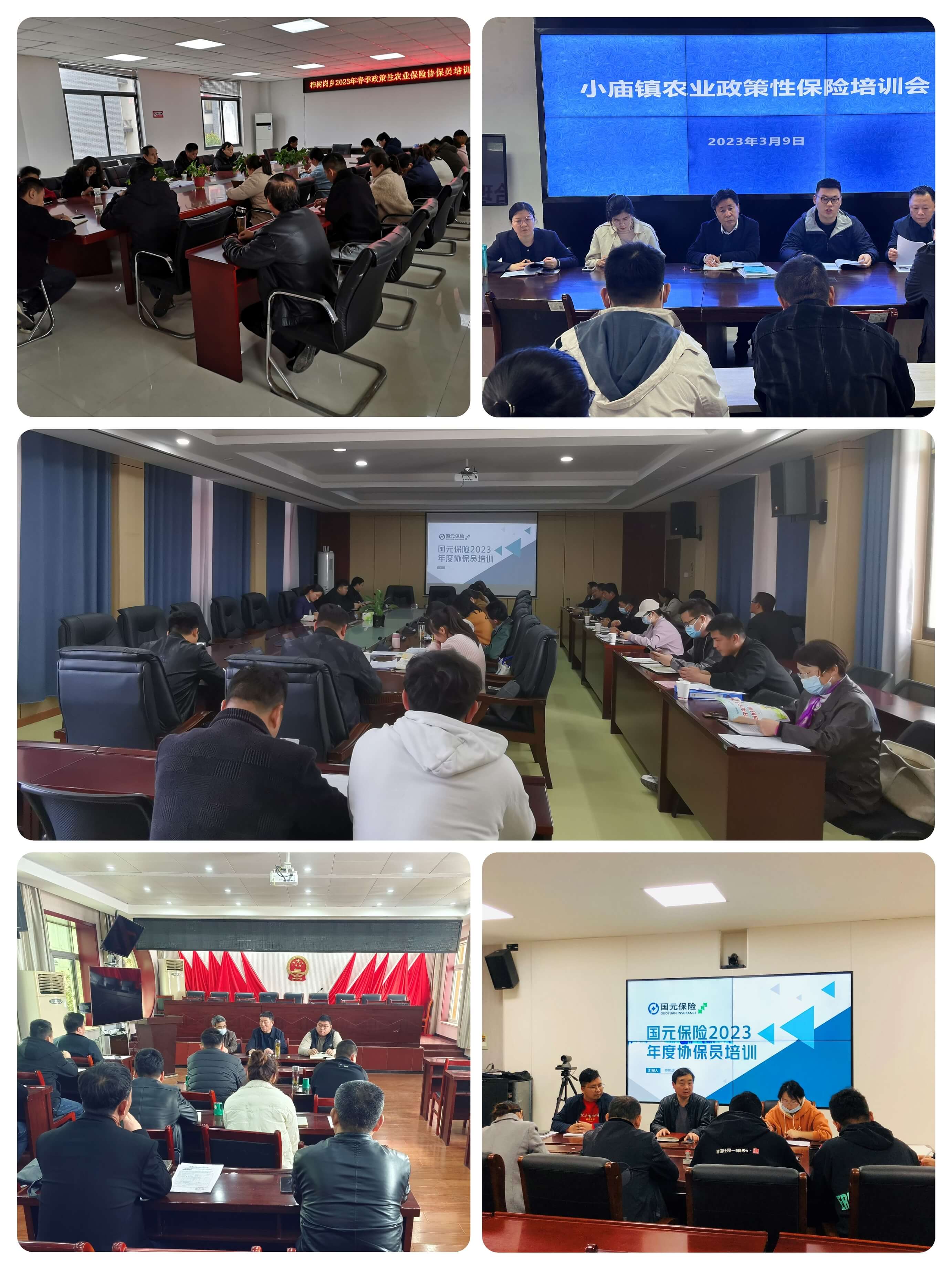 春来启新篇 培训好时节 | 国元保险合肥中支扎实推进协保员培训工作