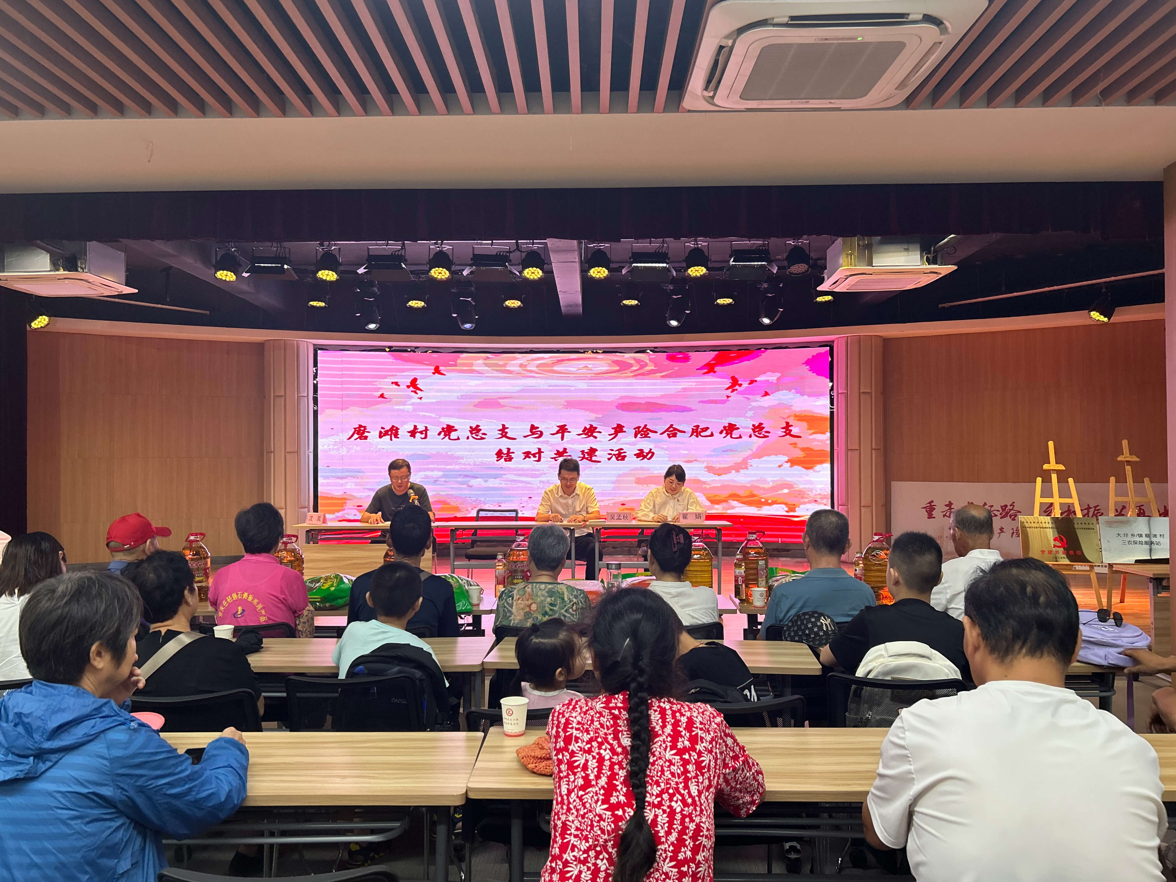 平安产险乡风文明100行动走进大圩镇磨滩村