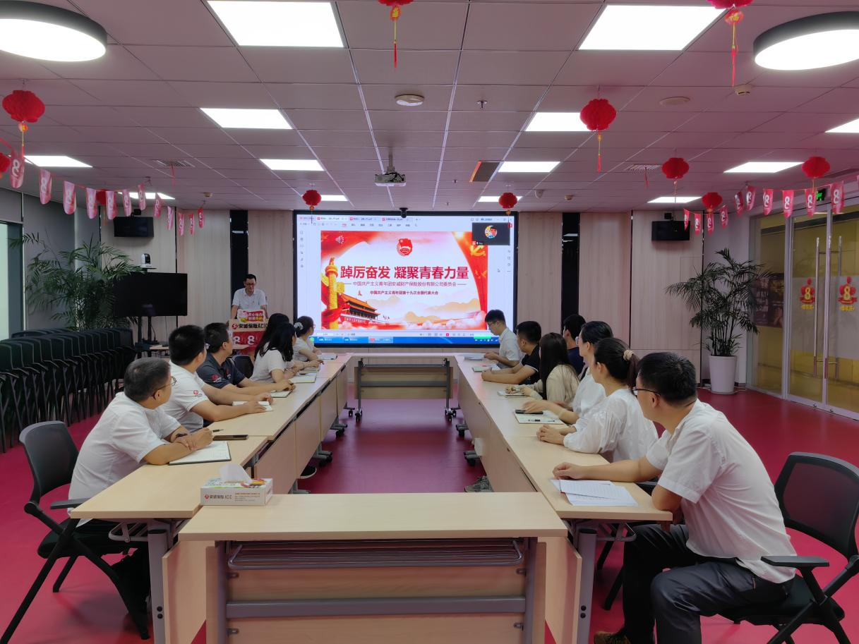 安诚保险安徽分公司团总支举办团员青年培训会