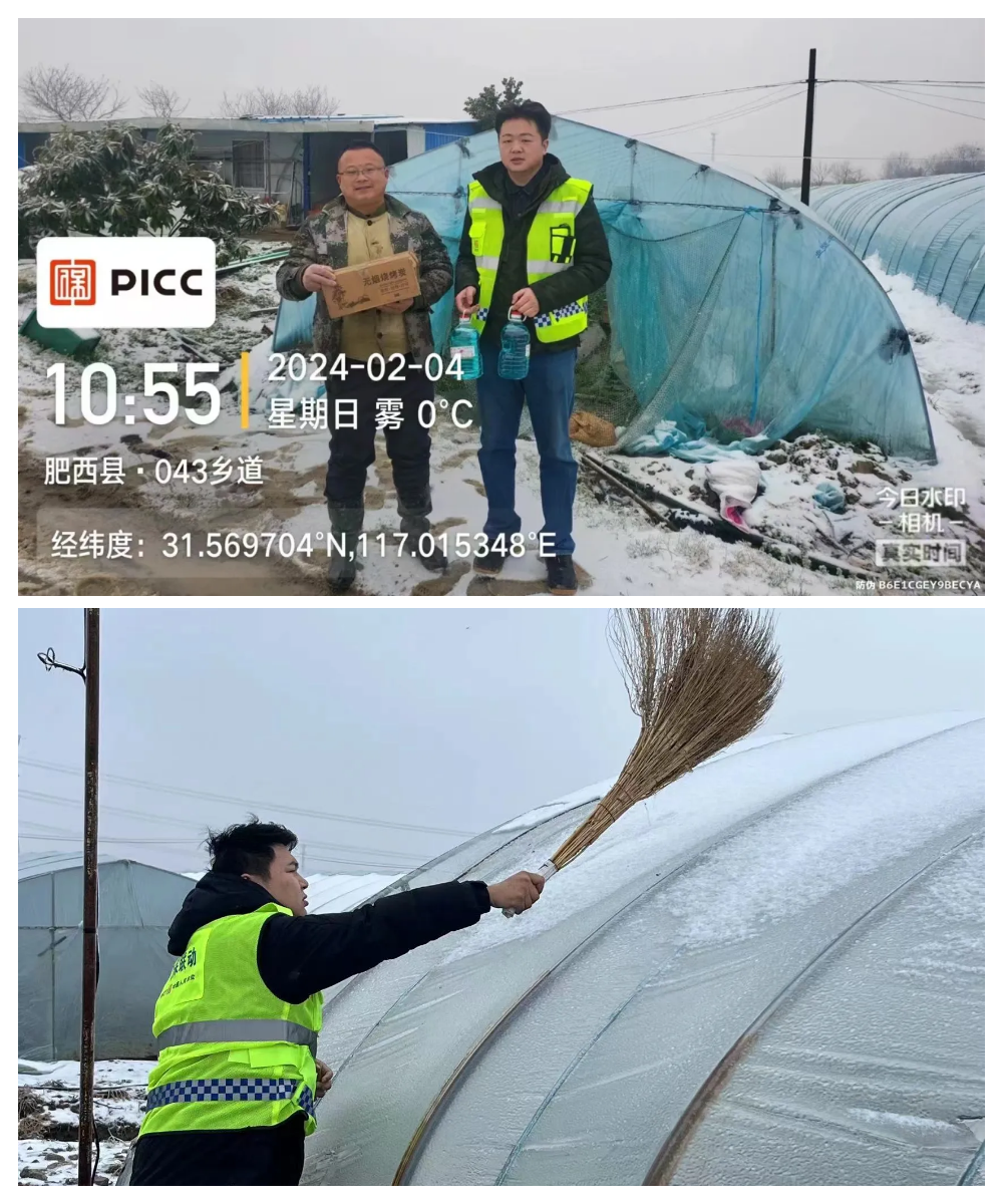 雪中送暖，人保在行动