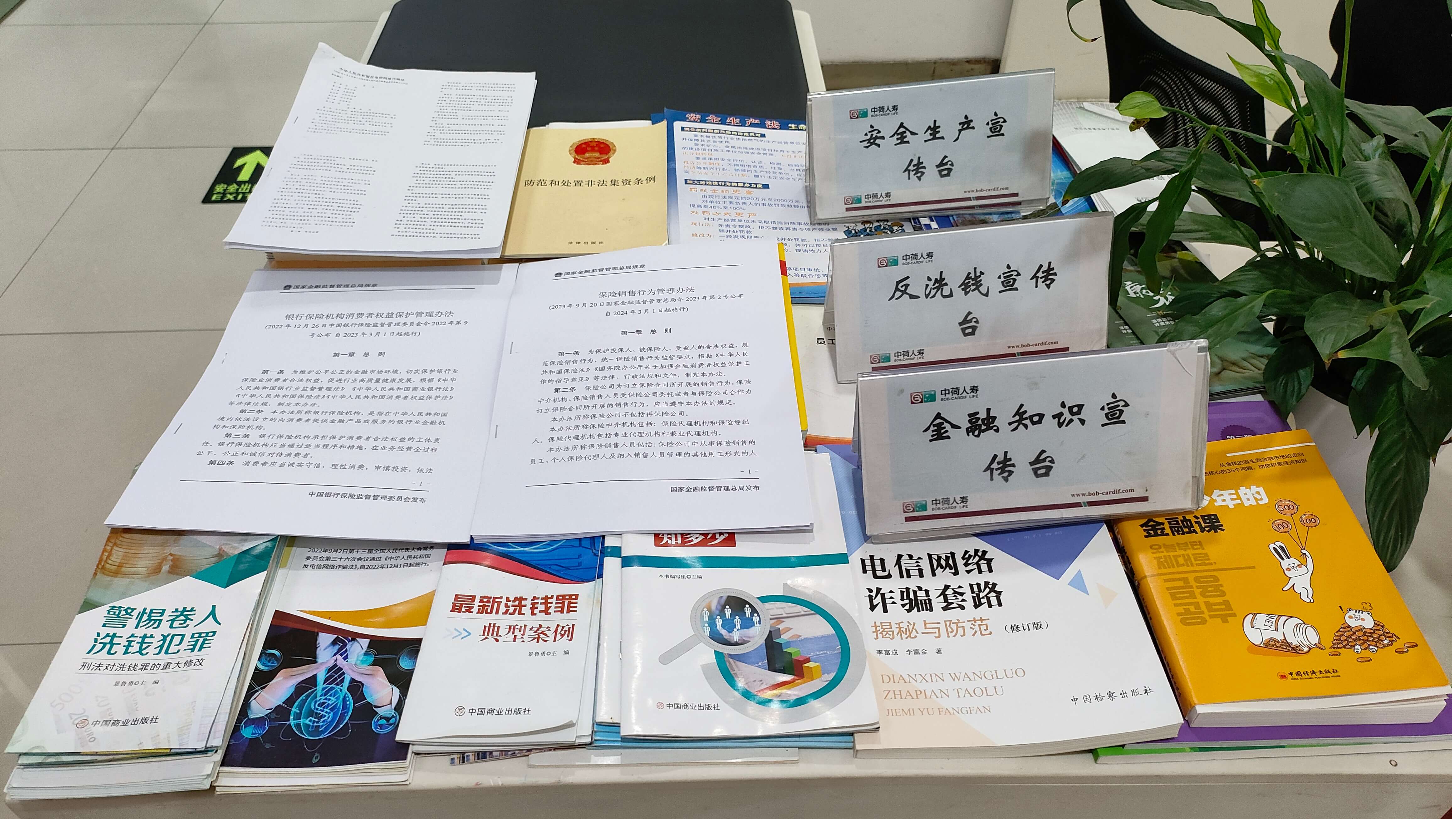 中荷人寿巢湖支公司开展2024年“3·15”金融消费者权益保护教育宣传活动