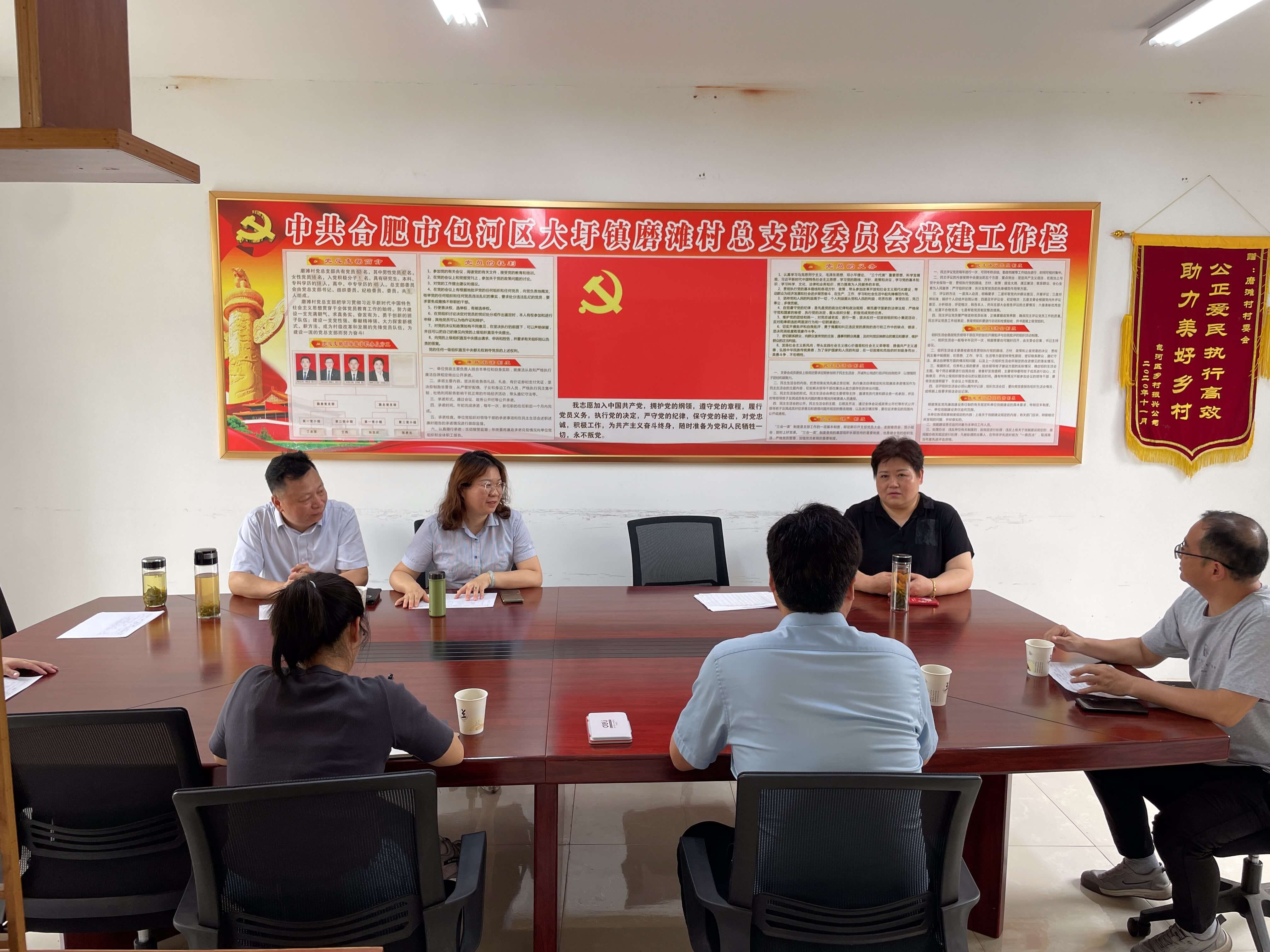 国元保险瑶海支公司开展“千万工程”精品示范村走访和送金融服务上门活动
